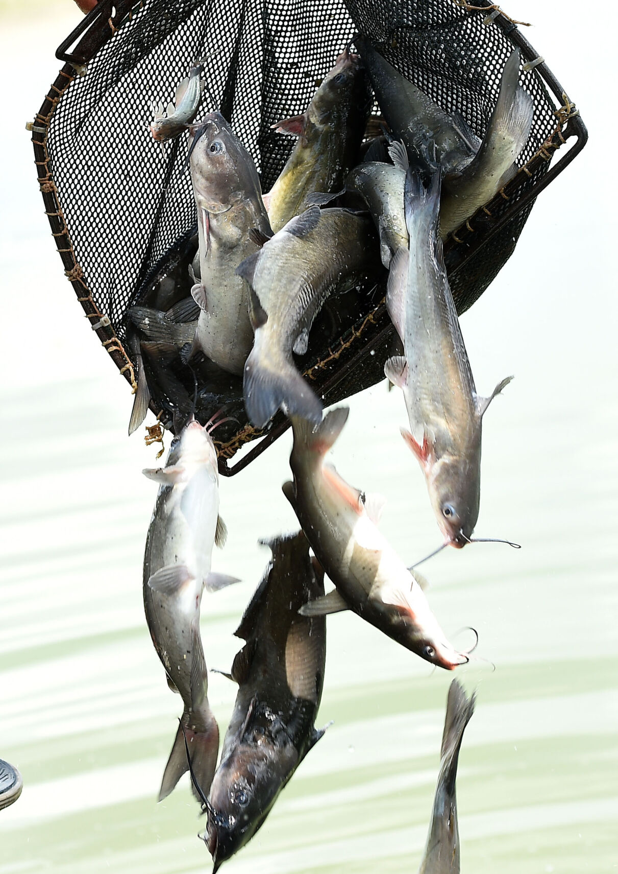 Kids Fishing Day